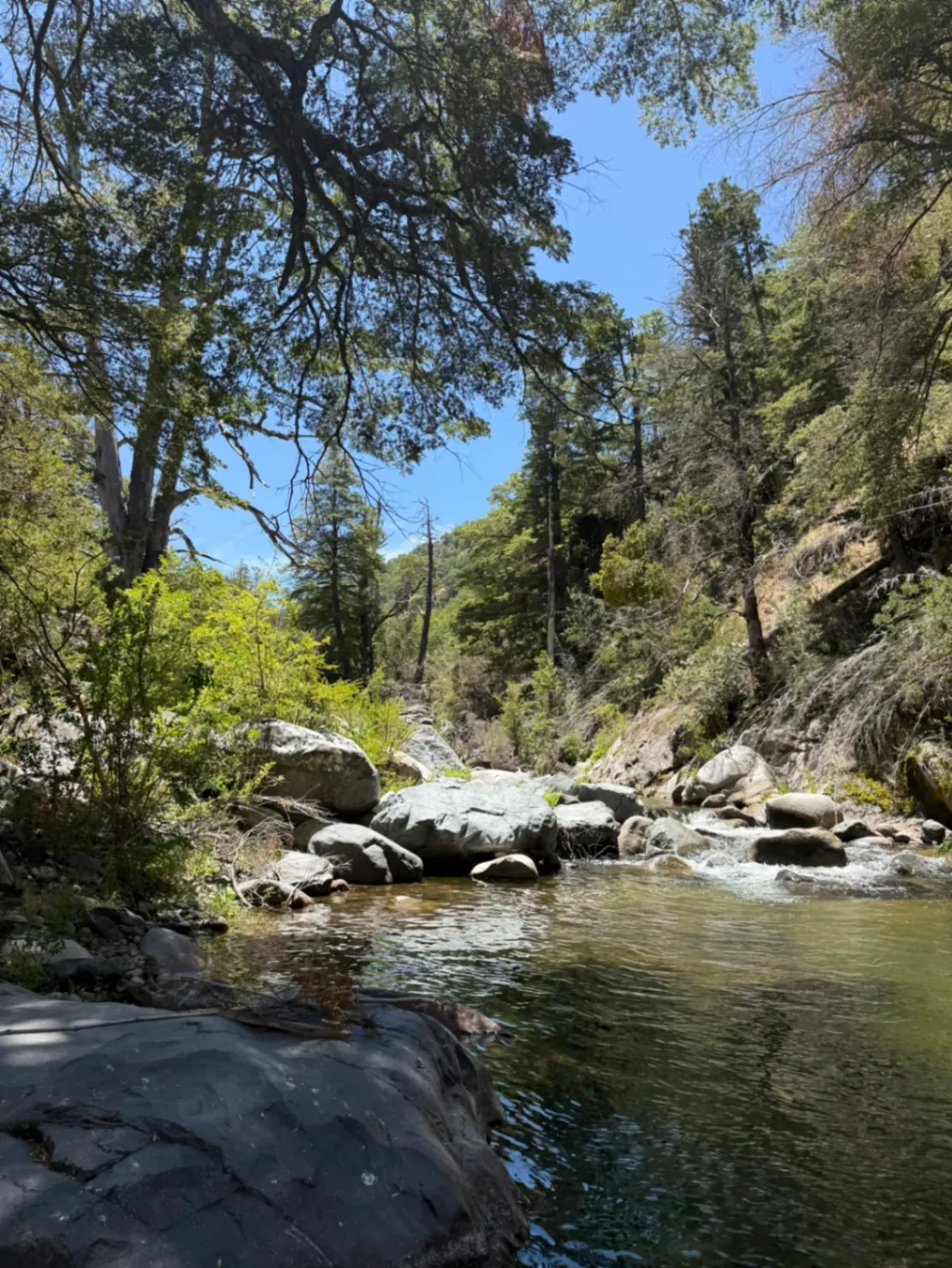 Trekking por Senderos Cuenca Andina